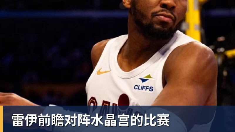 九游体育雷伊前瞻对阵水晶宫的比赛